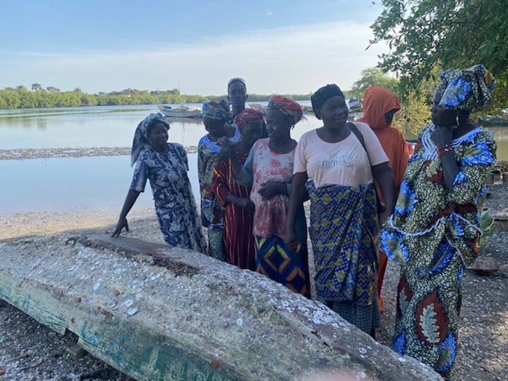 Sustainable Restoration: Securing the Future for the Women’s Cooperative