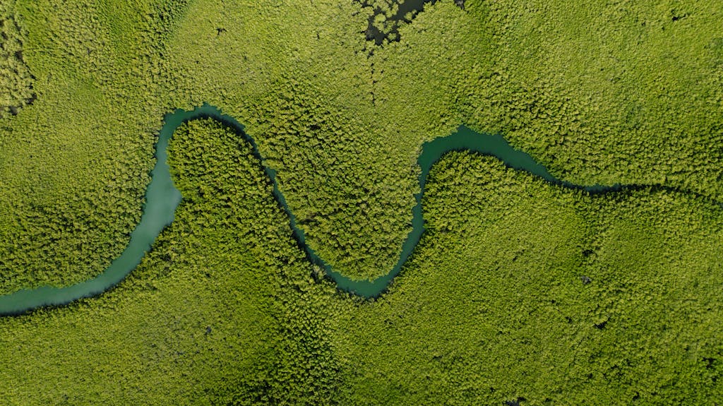 Stunning aerial shot of a winding river cutting through dense green foliage in Banjul, The Gambia.